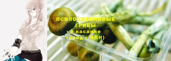круглые Арсеньев