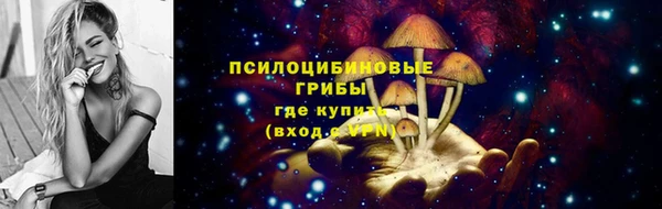 круглые Арсеньев